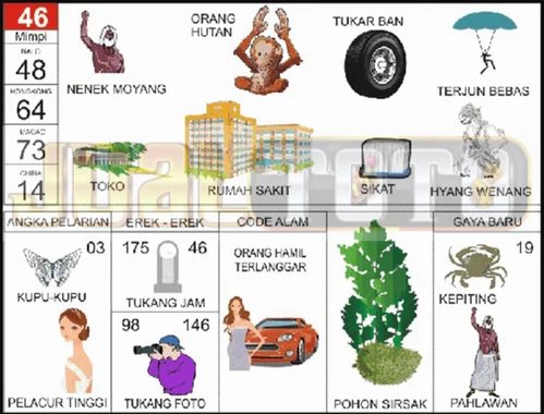 buku mimpi erek erek togel 46
